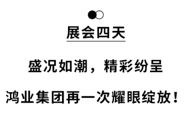 鴻業(yè)家具再一次耀眼綻放！